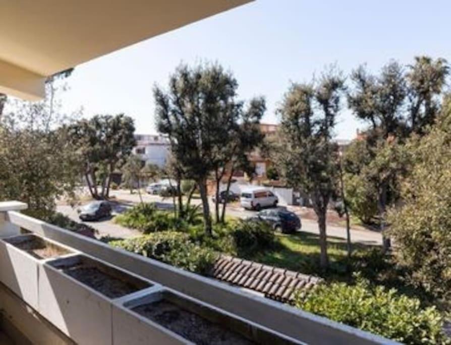 Magnifica Villa A Fregene Fregenae Ngoại thất bức ảnh